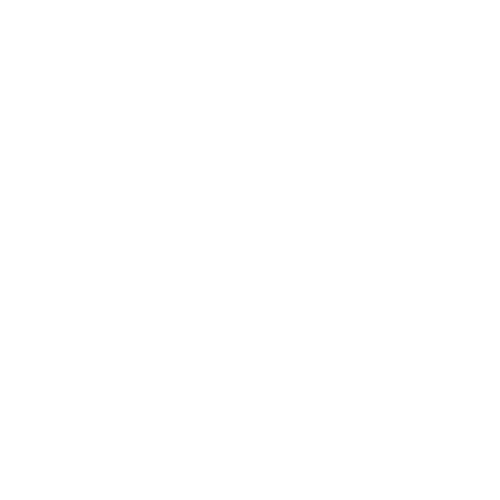 100 % anonym umsetzbar
